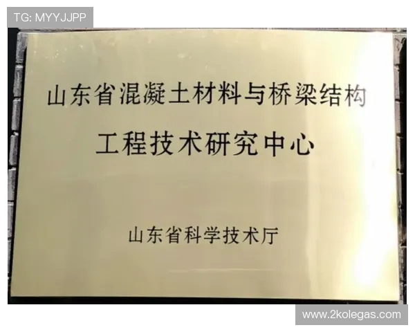 体育场馆模块化看台的拆装安全性评估规程